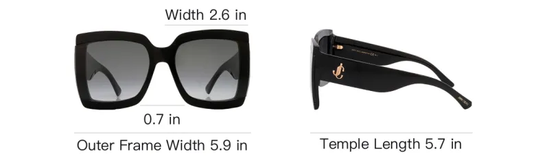 Jimmy Choo Renee Sunglasses-4