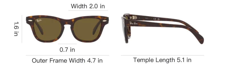 RayBan Acetyl Irregular Shape Sunglasses Kids' Tortoiseshell-5