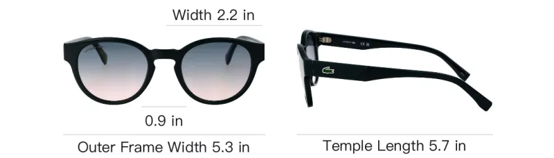 LACOSTE Acetate Cat Eye Sunglasses Men's Black-4