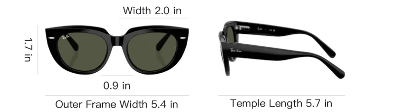 RayBan Doreen Sunglasses-3