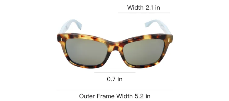 FENDI Sunglasses Women's Tortoiseshell-2