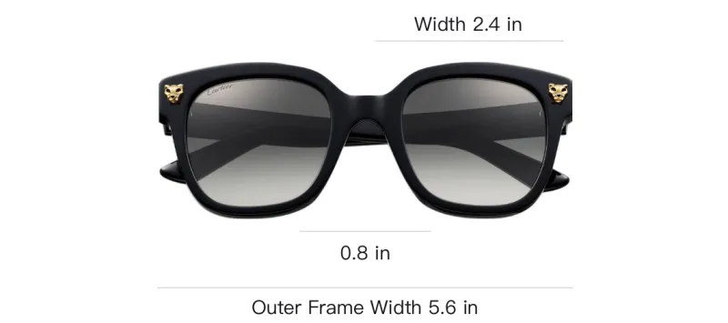 CARTIER Plate Frame Square Sunglasses Unisex Black-3