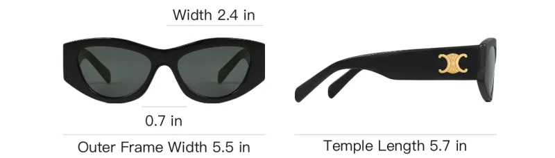 CELINE Triomphe 15 Sunglasses In Acetate-3