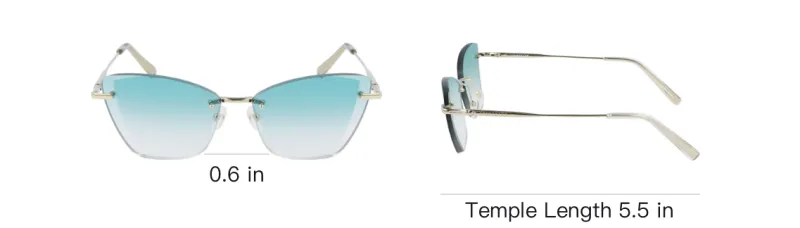 LONGCHAMP Cat Eye Frame Sunglasses-3