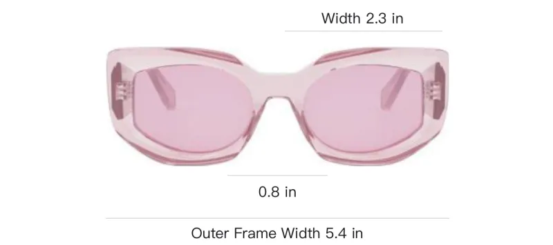 CELINE Cat Eye Sunglasses-2