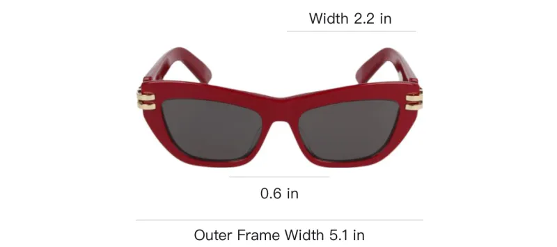 DIOR Butterfly Frame Sunglasses-4