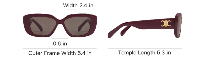 CELINE Acetate Rectangular Sunglasses Women's Dark Purple-3