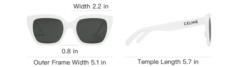 CELINE Monochroms 03 Sunglasses In Acetate-3