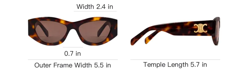 CELINE Triomphe 15 Sunglasses In Acetate-3
