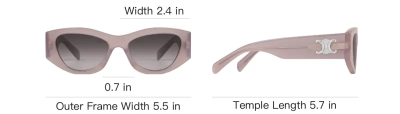 CELINE Triomphe 15 Sunglasses In Acetate-3