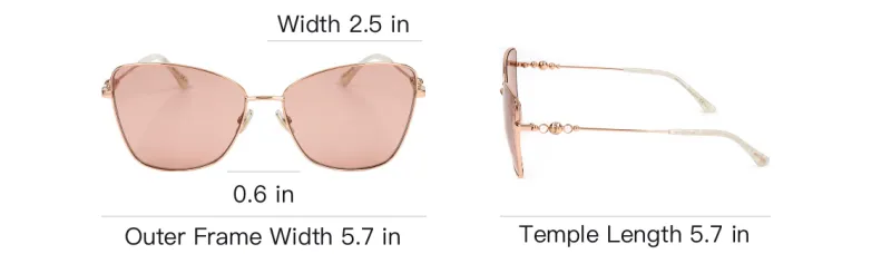 Jimmy Choo Butterfly Frame Sunglasses-3