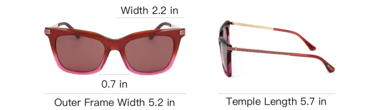 Jimmy Choo 2020s Olye/s Sunglasses-3