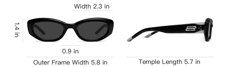 GENTLE MONSTER Oval Sunglasses Unisex Black ROW 01-3