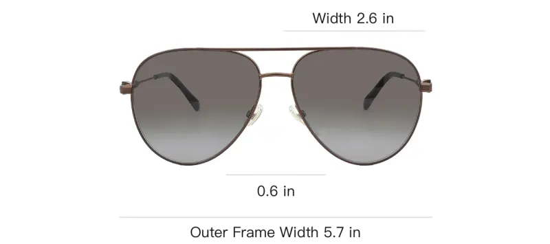 Jimmy Choo Metal Aviator Sunglasses Women's Brown-1