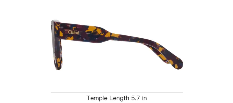 Chloé Sunglasses Unisex Brown-2