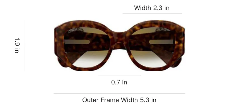 Cartier Panthere Square Frame Sunglasses-3