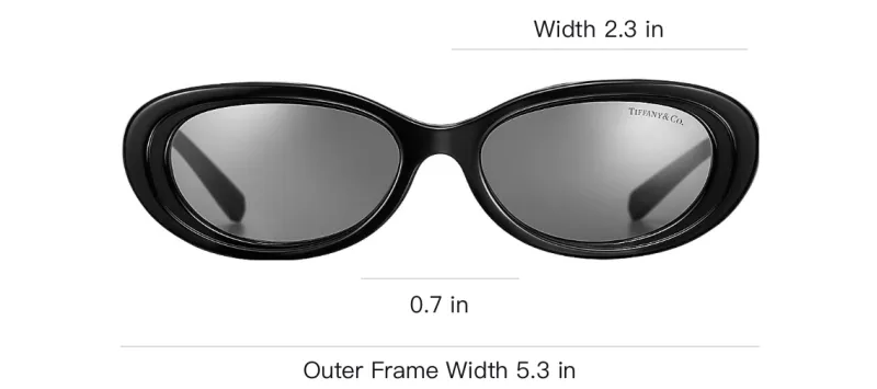TIFFANY & CO. Acetate Oval Sunglasses Unisex Black-3