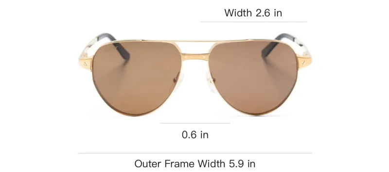 Cartier Santos De Cartier Pilot frame Sunglasses-2