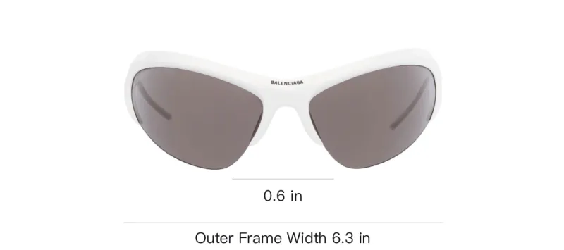 Balenciaga Cat Eye Sunglasses-2