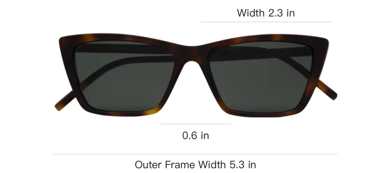 SAINT LAURENT Sl 737 Cat Eye Sunglasses-2