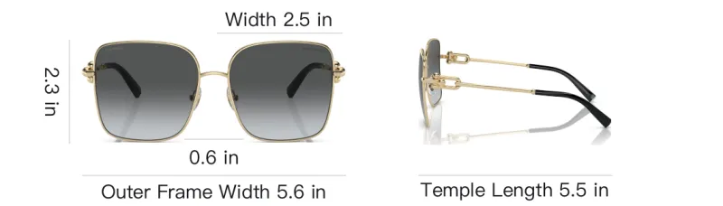 TIFFANY & CO. Oversize frame Sunglasses-5