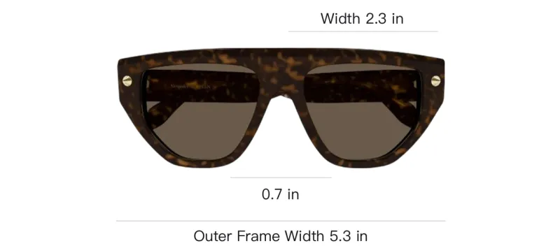 Alexander McQueen Sunglasses Unisex Brown-2