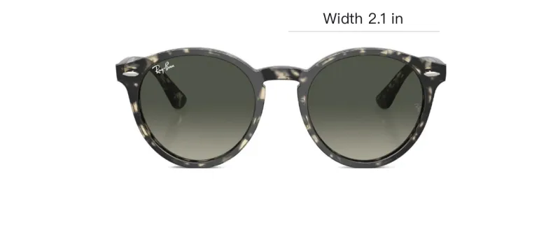 RayBan Round Frame Sunglasses-3