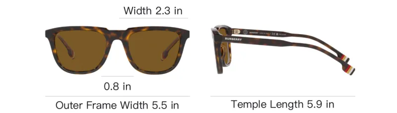 Burberry Sunglasses Men-3