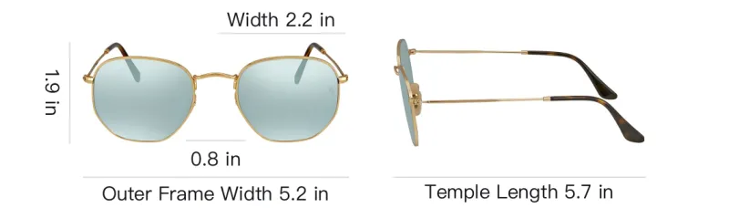 RayBan Hexagonal Sunglasses-3
