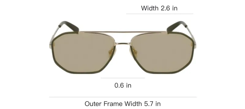 FERRAGAMO Plastic Metal Aviator Sunglasses Unisex Dark Umber-2