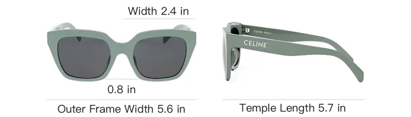 CELINE Butterfly Frame Sunglasses-3