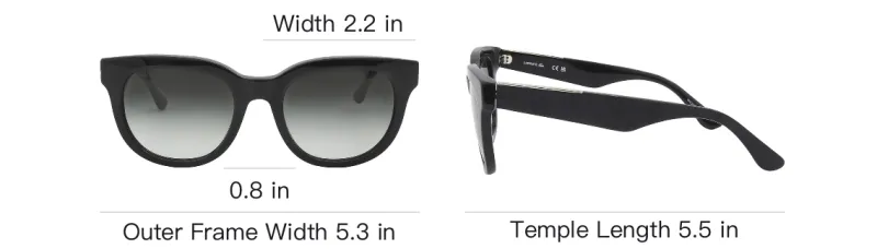 LACOSTE Plastic Oval Sunglasses Women's Black-3