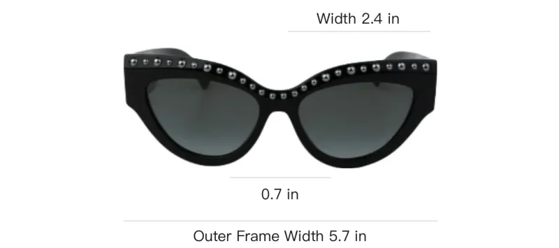 Jimmy Choo Acetate Cat Eye Sunglasses Women's Black-2