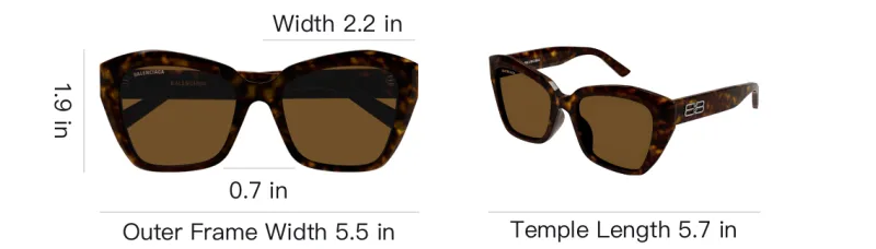 Balenciaga Butterfly Frame Sunglasses-2