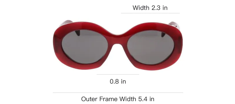 CELINE Oval Frame Sunglasses-3