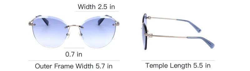LONGCHAMP Round Sunglasses Women's Silver-3