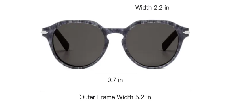 DIOR Oval Sunglasses Men's Gray-4