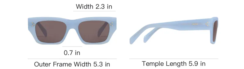 CELINE Acetate Rectangular Sunglasses Men's Blue-3