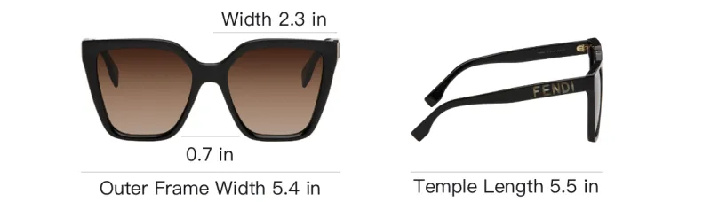 FENDI Acetate Irregular Shape Sunglasses Women's Black-2