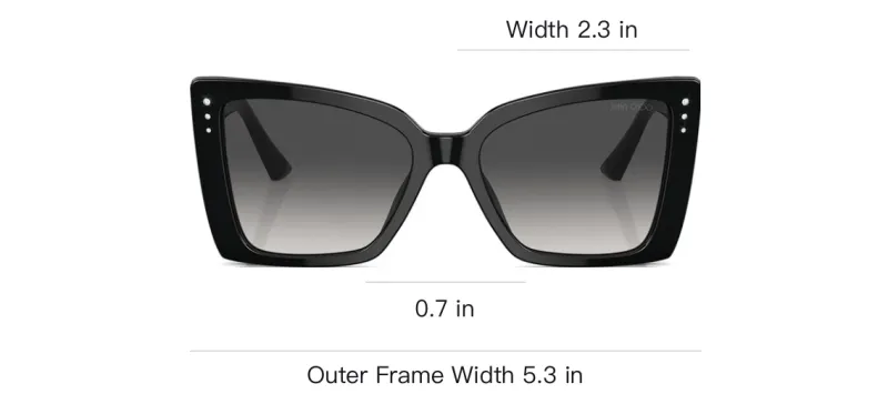 Jimmy Choo Square Frame Sunglasses-3