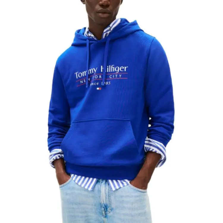 Tommy Hilfiger Logo Hoodie-2