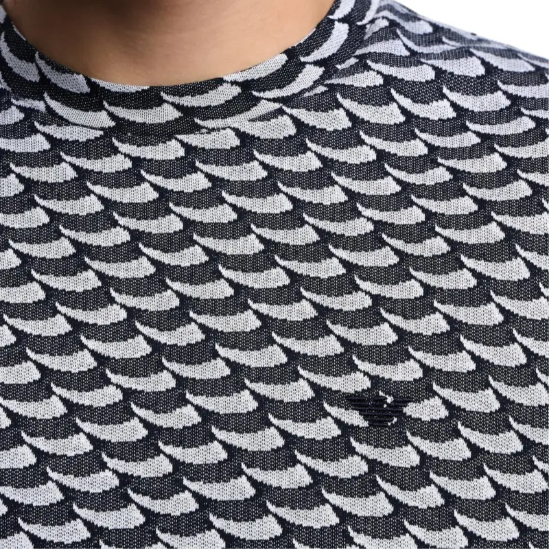EMPORIO ARMANI Asv Icon Jacquard Jersey Jumper With Op art Motif-4