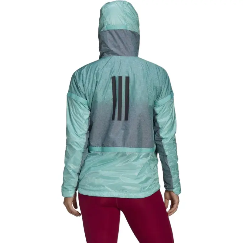 Adidas TERREX Jacket Women's Mint-2