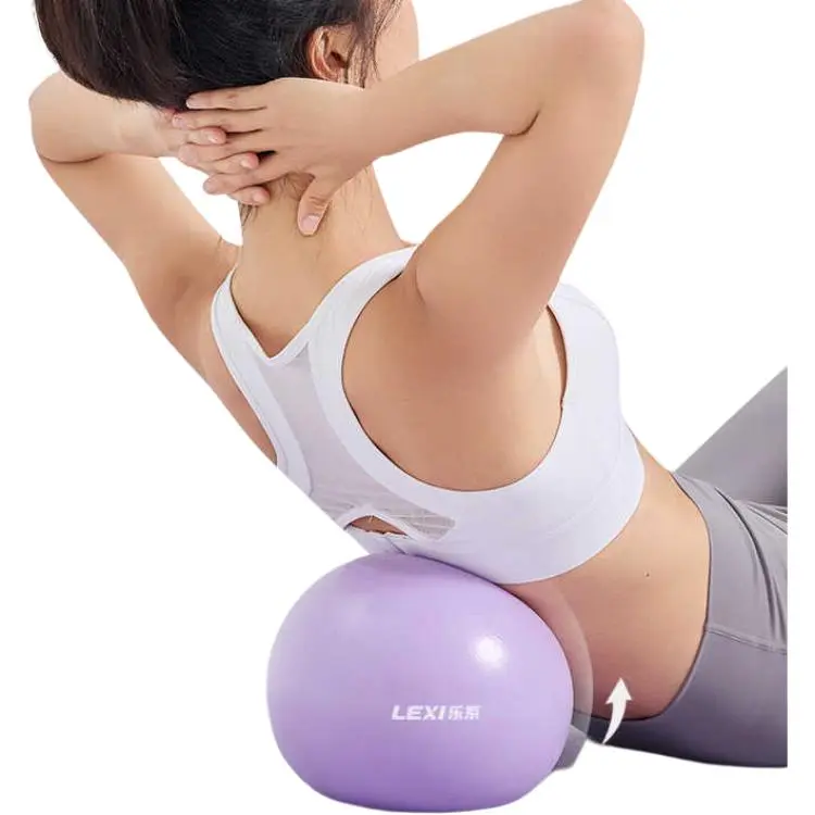 LEXI Yoga Balls PVC Unisex Purple-2
