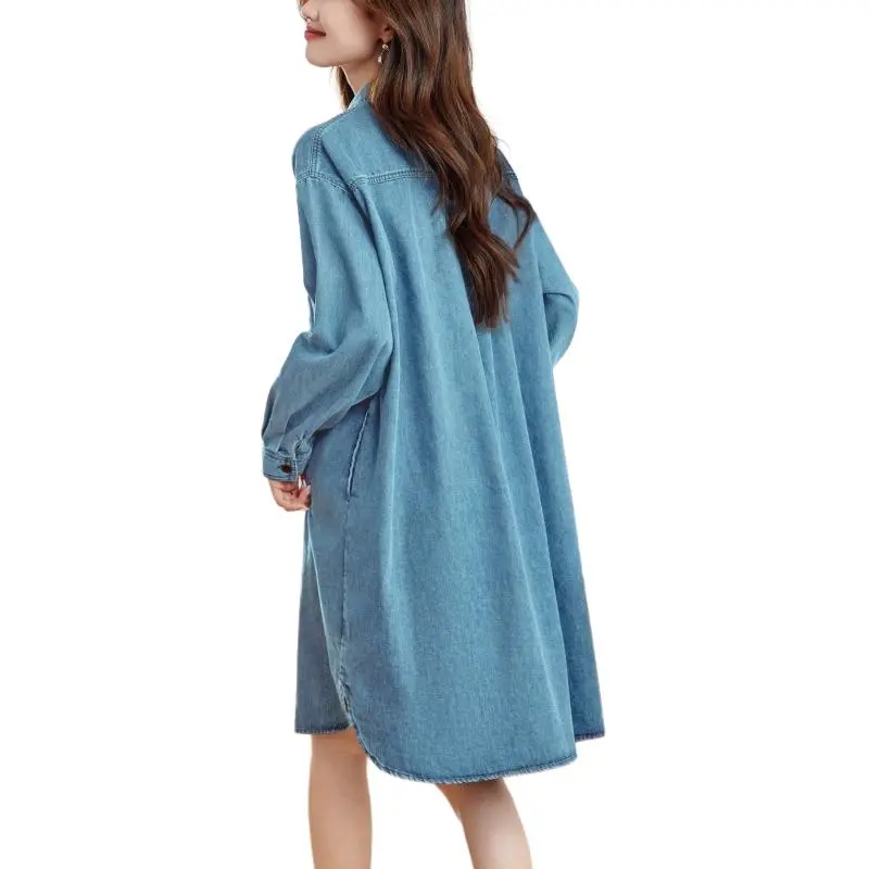 Korean Style Long Sleeved Dress Women's-0