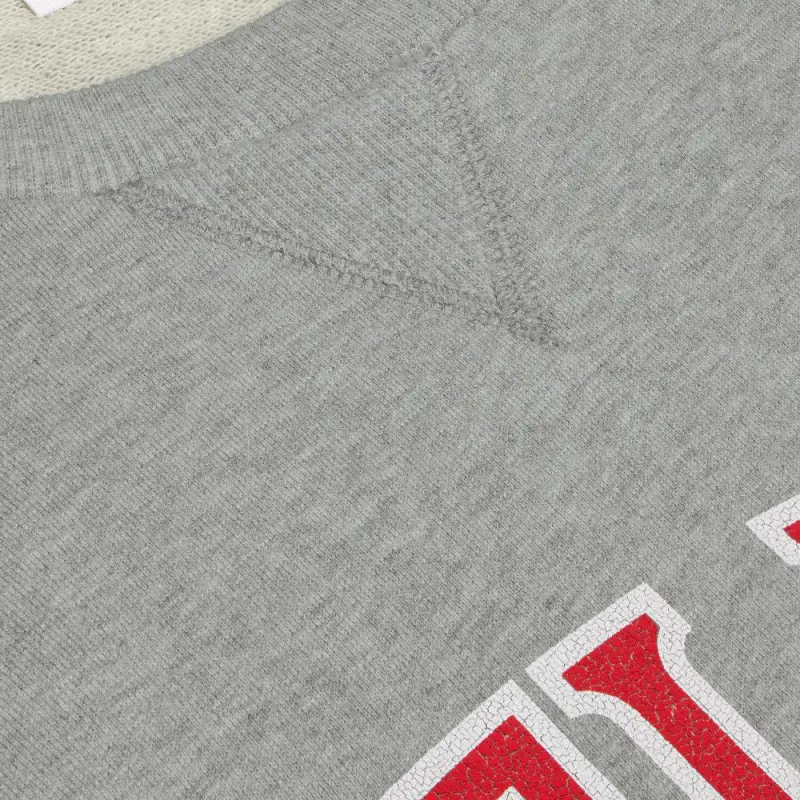 CELINE Loose Sweatshirt In Cotton Fleece-6