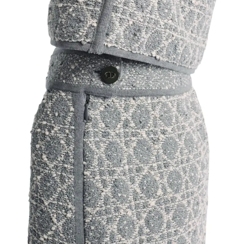 DIOR SS25 Casual Short Skirts Women's Gray-4