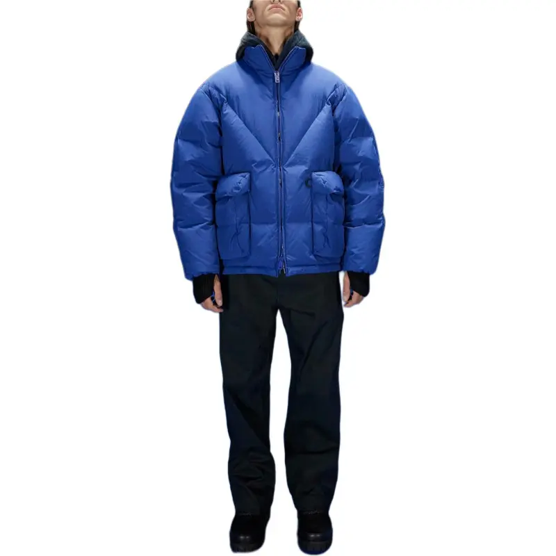 EMPORIO ARMANI Down Jacket Men's Blue-1