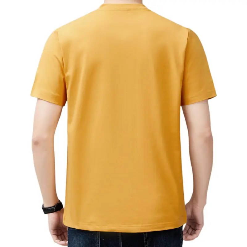 PIERRE CARDIN T Shirts Men-10