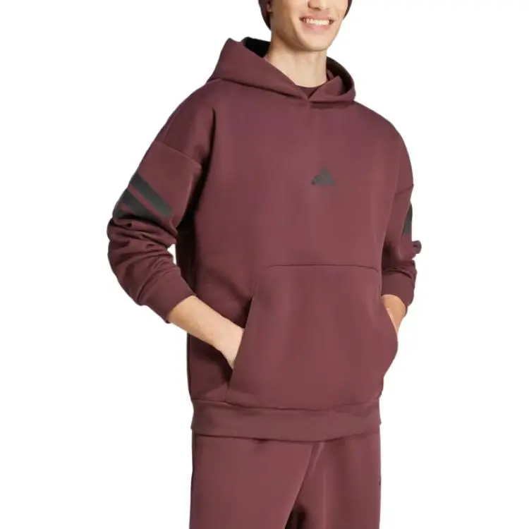 Adidas Future Icons 3 Stripes Hoodie-3